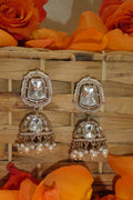 Aarohi Earring Set